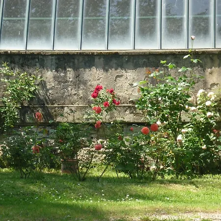 Les Cedres Chambres D'hotes Couette-café Castres (Tarn)
